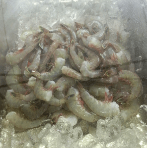 Fresh local shrimp - I roasted them for a delectable dinner treat!