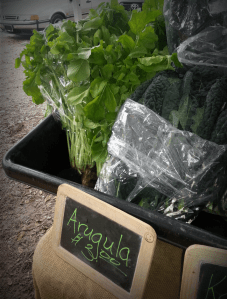 Arugula from Adam's Farm and Gardens, LLC.