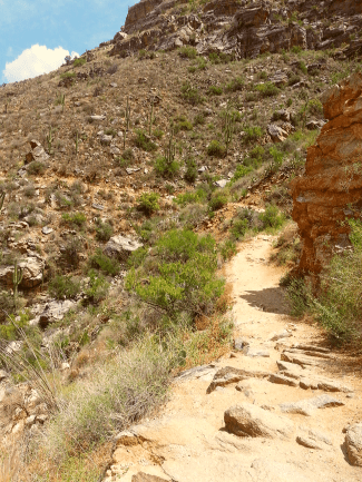 Sabino Canyon hiking trail.