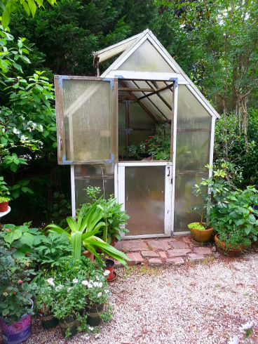 The greenhouse in our side yard 
