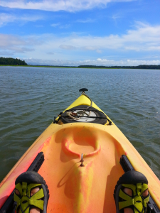 Heading out to the Chechessee Creek