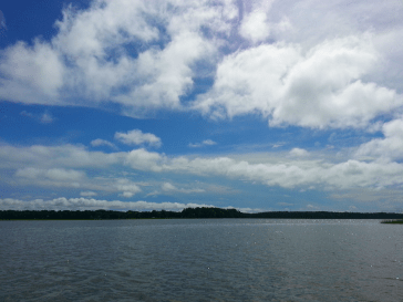 Chechesse Creek open water